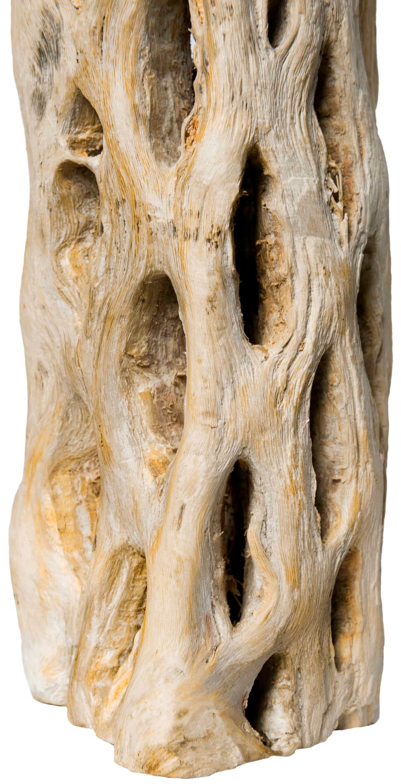 Galapagos 05270 Cholla Wood for Aquarium ,(pack of 3) - Image 2